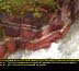 Red Rock Canyon